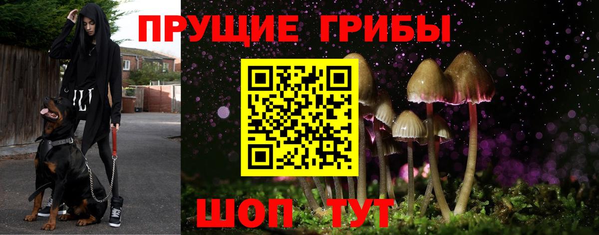 Галлюциногенные грибы Psilocybine cubensis  сколько стоит  Дзержинск  Вход с VPN 